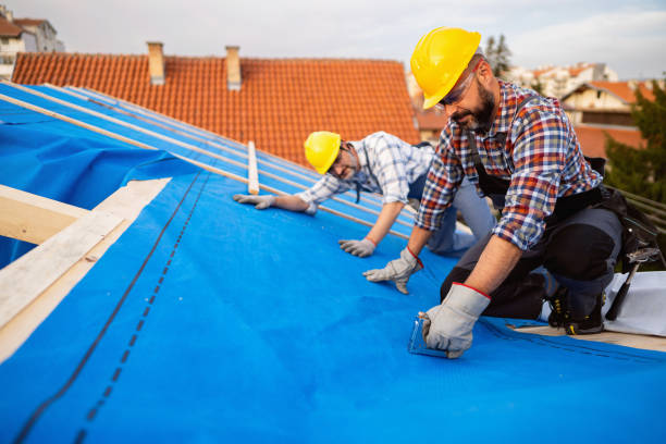 Professional Roofing in Savoy, IL